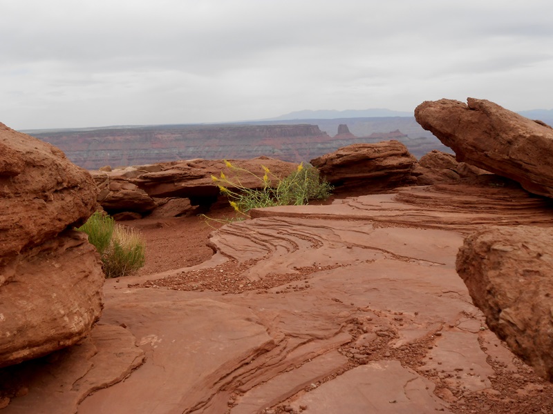 Dead Horses Point (Moab) (UT)